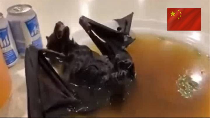 bat soup economy